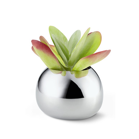 Bella Vase (Small)