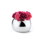 Bella Vase (Small)
