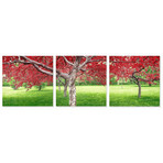 Cherry Blossoms (24"H x 72"W x 1"D)