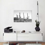 Gray Cactus Land // Sisi & Seb (40"W x 26"H x 1.5"D)