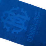 Beach Towel // Bluette