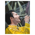 Look Up To The Skies And See // Freddie Mercury (18"W x 24"H x 0.625"D)