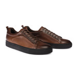 Freddy Sneaker Shoes // Brown (Euro: 43)