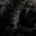 Faux Sheepskin // Black Rug (2'W x 3'L)