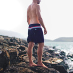 Boardshorts // Blue (Small)