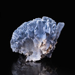 Natural Blue Ridge Coral v.2