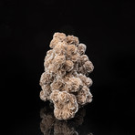Natural Desert Rose Selenite Cluster