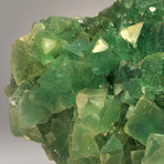 Green Fluorite Crystal Cluster