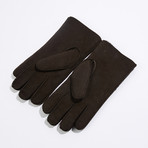 Cloudveil Arctic Glove (Small)