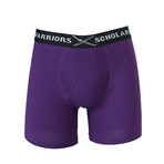 Roxy Cotton Boxer Brief // Purple (S)