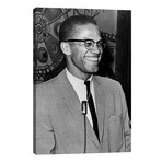 Malcolm X (1925-1965) // Ed Ford (26"W x 40"H x 1.5"D)