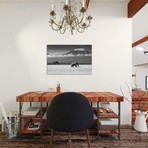 Lost Colors II // ibrahim Canakci (40"W x 26"H x 1.5"D)