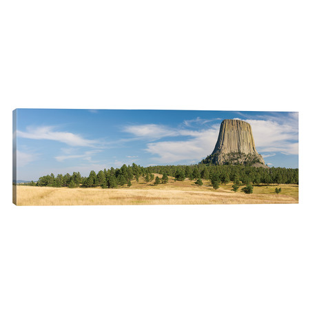 Devils Tower seen from Joyner Ridge Trail, Devils Tower National Monument, Wyoming, USA // Panoramic Images (60"W x 20"H x 0.75"D)