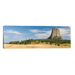 Devils Tower seen from Joyner Ridge Trail, Devils Tower National Monument, Wyoming, USA // Panoramic Images (60"W x 20"H x 0.75"D)