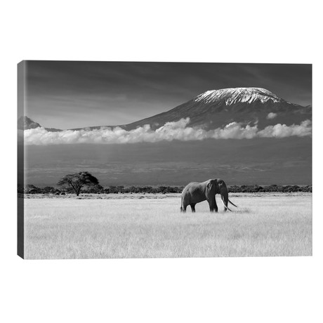 Lost Colors II // ibrahim Canakci (40"W x 26"H x 1.5"D)