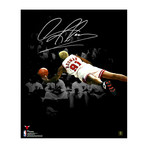 Dennis Rodman // Signed Chicago Bulls Diving Spotlight Photo // 16" x 20"