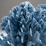 Natural Blue Ridge Coral v.1