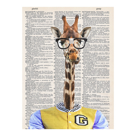 BERTRAM-MALE GIRAFFE