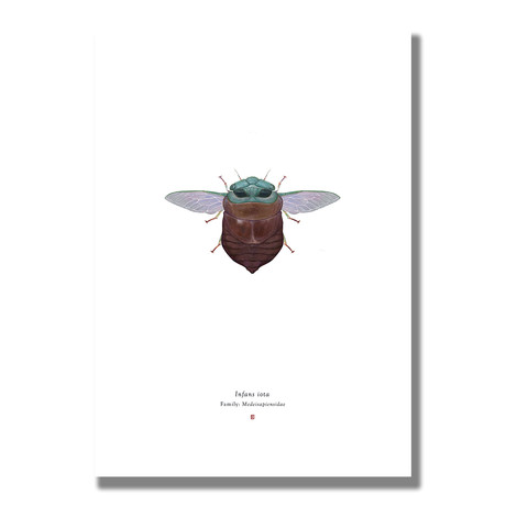 Signed Limited Edition Star Wars Baby Yoda-inspired Print