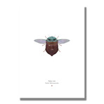Signed Limited Edition Star Wars Baby Yoda-inspired Print