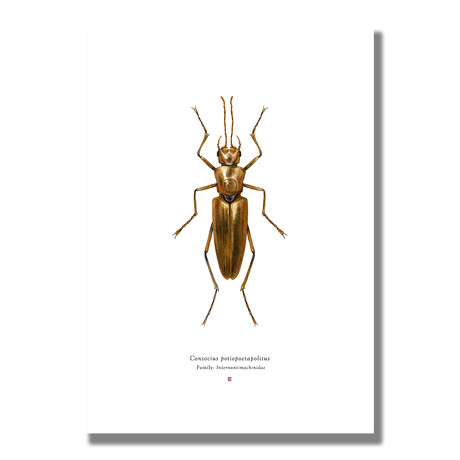 Signed Limited Edition Star Wars C3PO-inspired Print