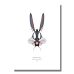 Signed Limited Edition Looney Tunes Bugs Bunny-inspired Print