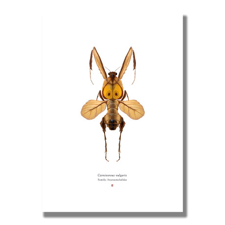 Signed Limited Edition Looney Tunes Wile E. Coyote-inspired Print