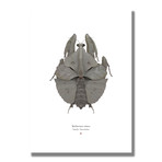 Signed Limited Edition Star Wars Millennium Falcon-inspired Print