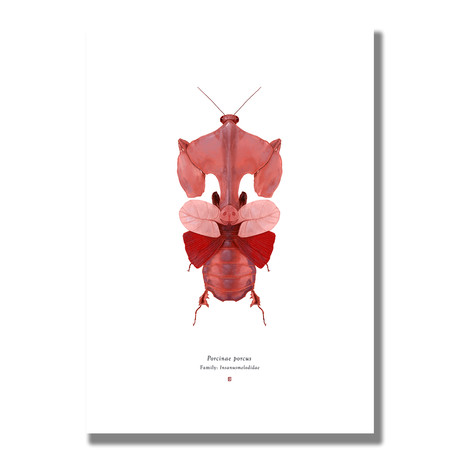 Signed Limited Edition Looney Tunes Porky Pig-inspired Print