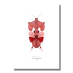 Signed Limited Edition Looney Tunes Porky Pig-inspired Print