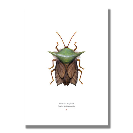 Signed Limited Edition Star Wars Yoda-inspired Print