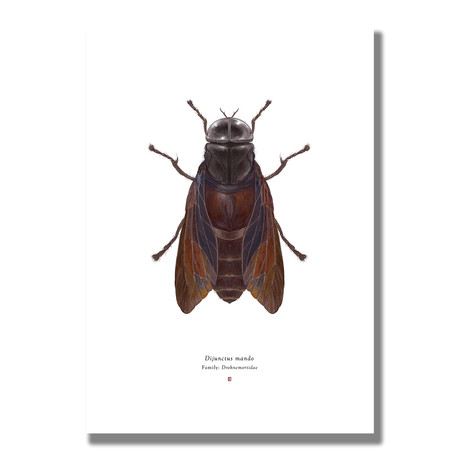 Signed Limited Edition Star Wars Mandalorian-inspired Print