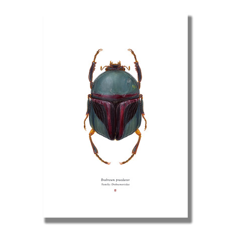 Signed Limited Edition Star Wars Boba Fett-inspired Print