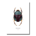 Signed Limited Edition Star Wars Boba Fett-inspired Print