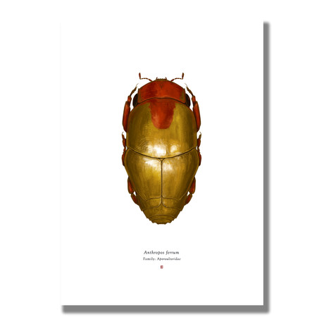 Signed Limited Edition Comic Legends Iron Man-inspired Print