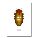 Signed Limited Edition Comic Legends Iron Man-inspired Print