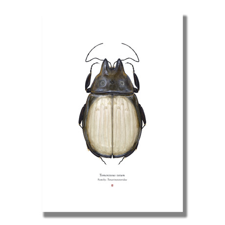 Signed Limited Edition Studio Ghibli Totoro-inspired Print