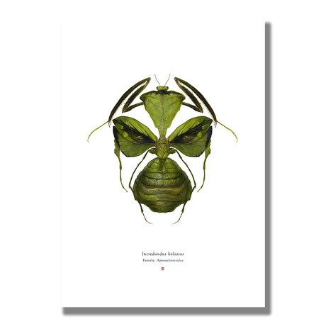 Signed Limited Edition Comic Legends Hulk-inspired Print