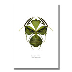 Signed Limited Edition Comic Legends Hulk-inspired Print