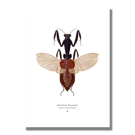 Signed Limited Edition Looney Tunes Sylvester-inspired Print