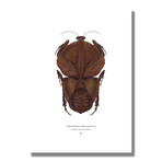 Signed Limited Edition Classic Horror Wolfman-inspired Print