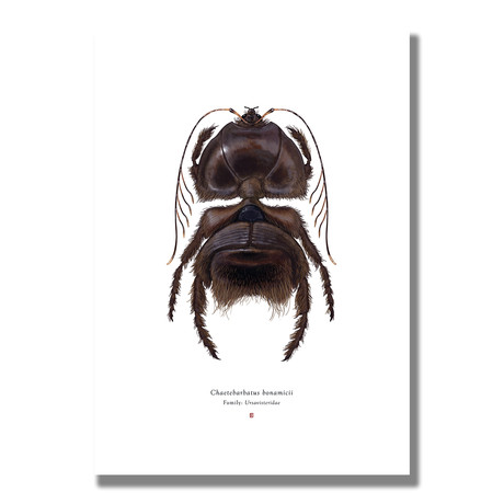 Signed Limited Edition Star Wars Chewbacca-inspired Print