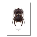 Signed Limited Edition Star Wars Chewbacca-inspired Print