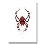 Signed Limited Edition Comic Legends Spiderman-inspired Print