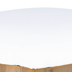 Luciana Acrylic + Polished Brass Counter Stool