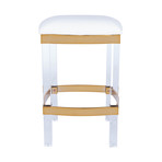 Luciana Acrylic + Polished Brass Counter Stool