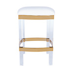 Luciana Acrylic + Polished Brass Counter Stool