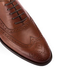Tayshaun Shoe // Brown (Euro: 38)