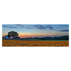 Sundown on the Farm // Painting Print on Wrapped Canvas (15"W x 5"H x 1.5"D)