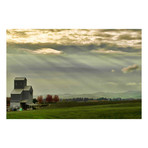 Wine Country Sunset // Painting Print on Wrapped Canvas (12"W x 8"H x 1.5"D)